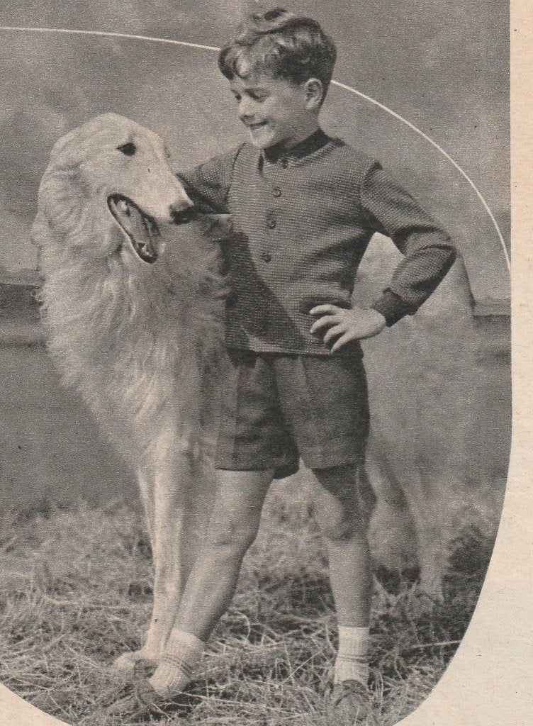 retro reclame 1958 Hazewind jongensmode jongetje & hond, Verzenden, Overige typen