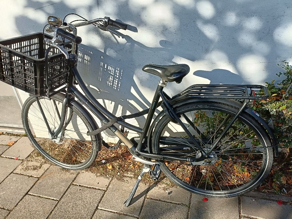 Batavus x prosure, Ophalen, Gebruikt, Velgrem, Versnellingen