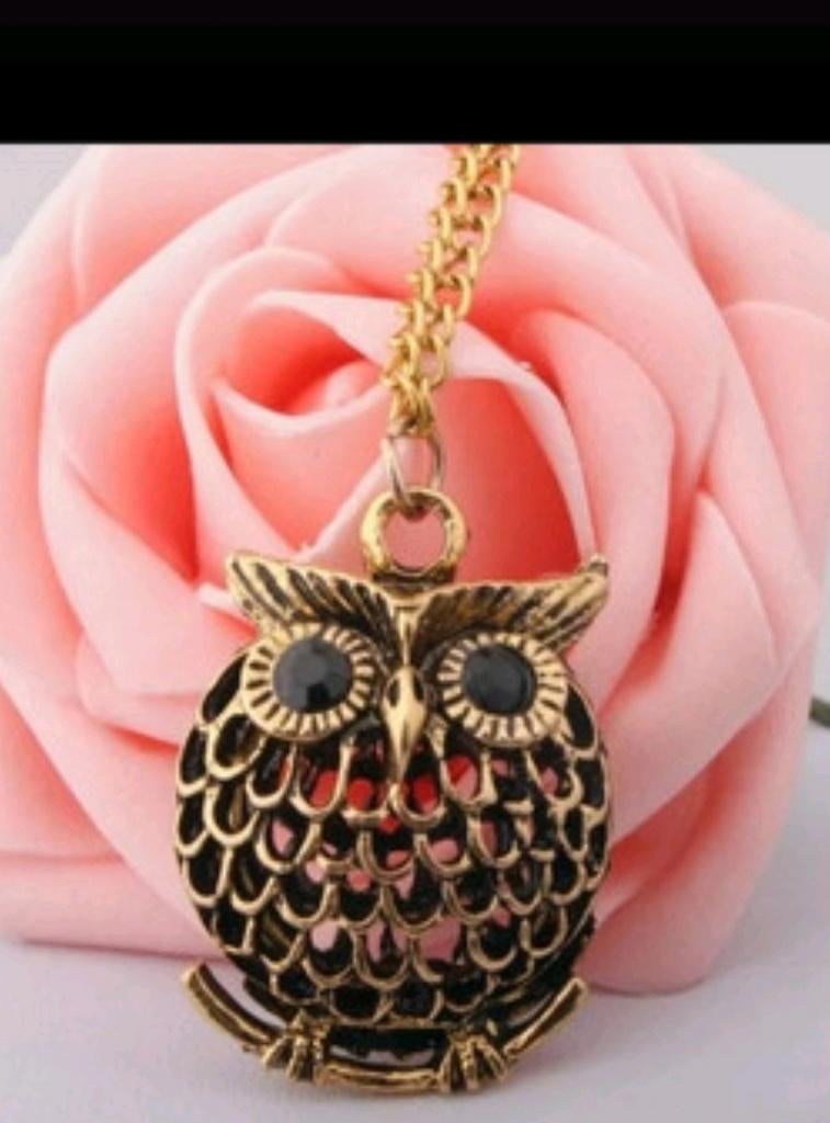 Nieuw ketting met uil hanger, Nieuw, Ophalen of Verzenden, Goud, Overige materialen