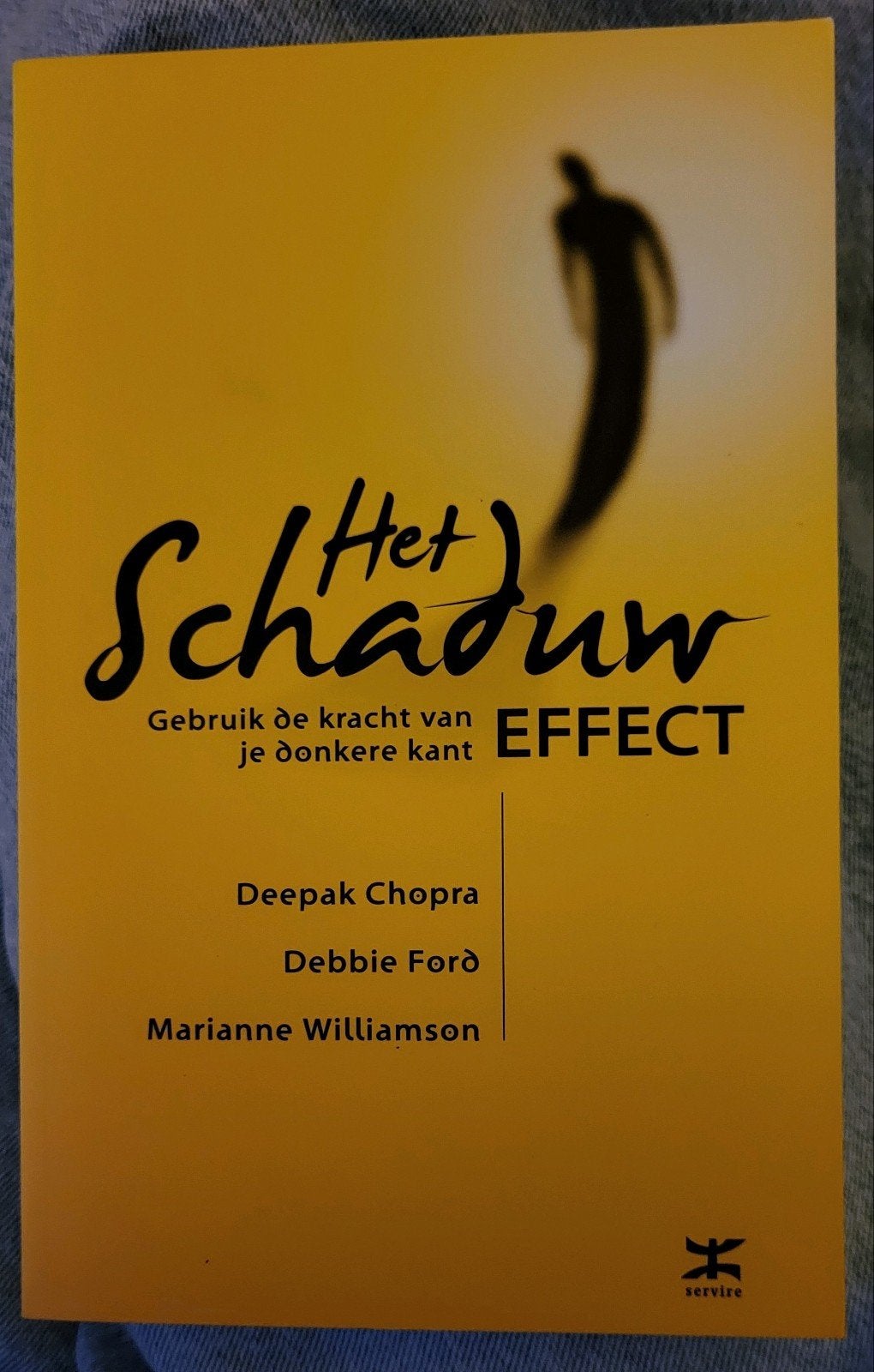 Debbie Ford - Het schaduw effect, Boeken, Debbie Ford; Marianne Williamson; Deepak Chopra, Ophalen of Verzenden, Ontwikkelingspsychologie