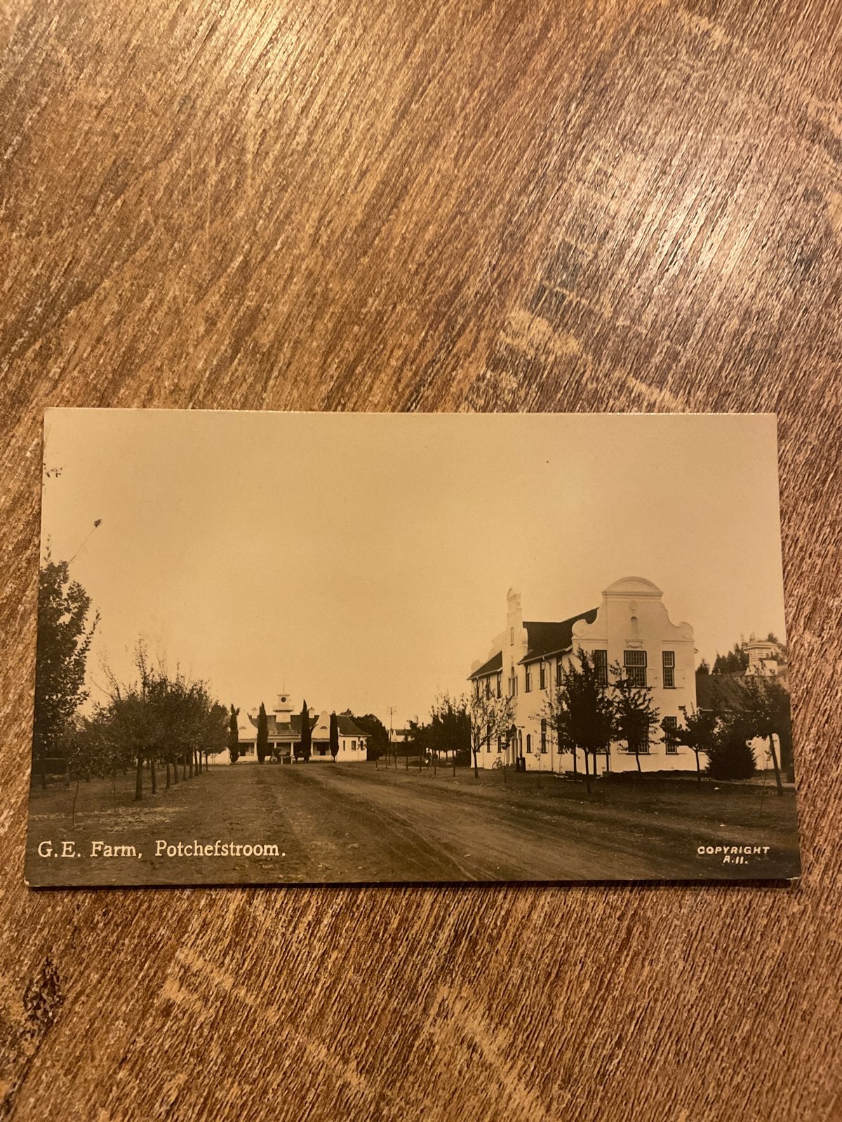 Oude ansichtkaart G.E. Farm, Potchefstroom, Zuid-Afrika, Ophalen of Verzenden, Ongelopen, Buiten Europa