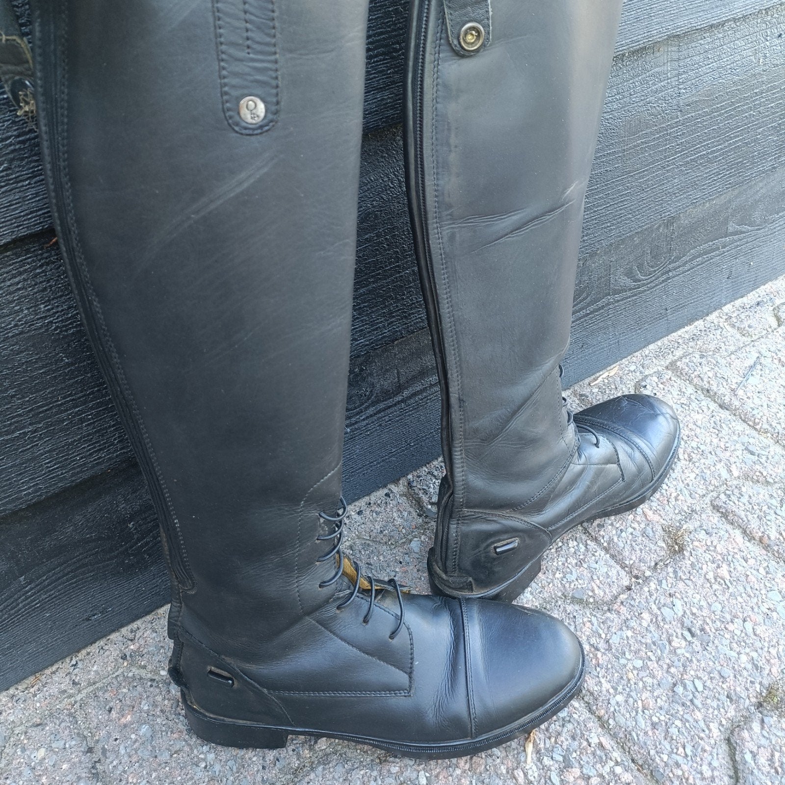 Paardrijlaarzen maar 40 QHP, Dieren en Toebehoren, Ophalen, Dressuur, Schoeisel, QHP