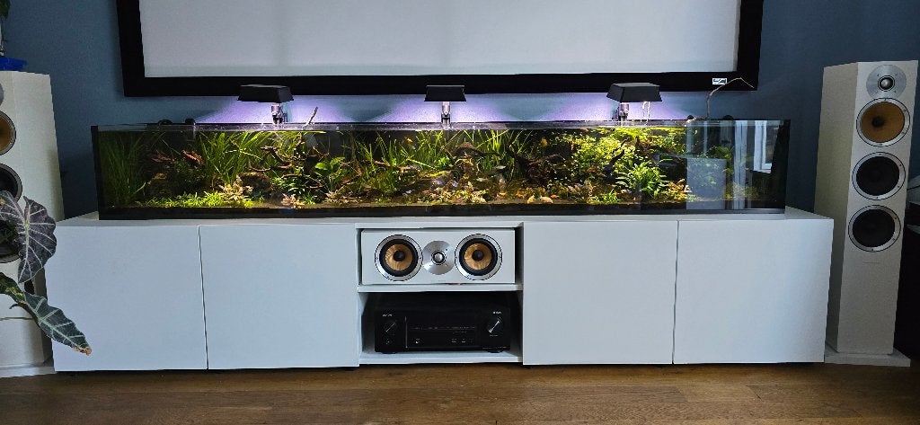 uniek aquarium 220x30x35 rimless, Ophalen, Zo goed als nieuw, Gevuld zoetwateraquarium, Overige merken