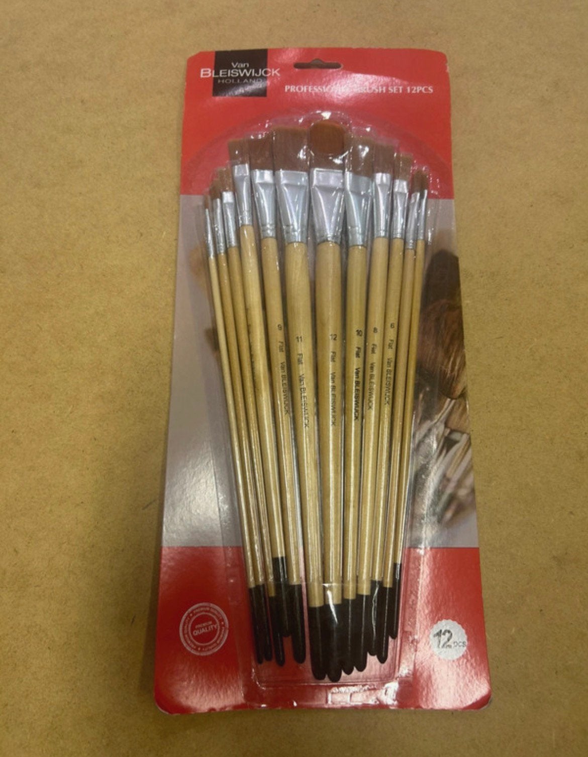 Nieuwe schilderspenselen set - 12 stuks, Hobby en Vrije tijd, Ophalen of Verzenden, Nieuw, Penseel of Kwast