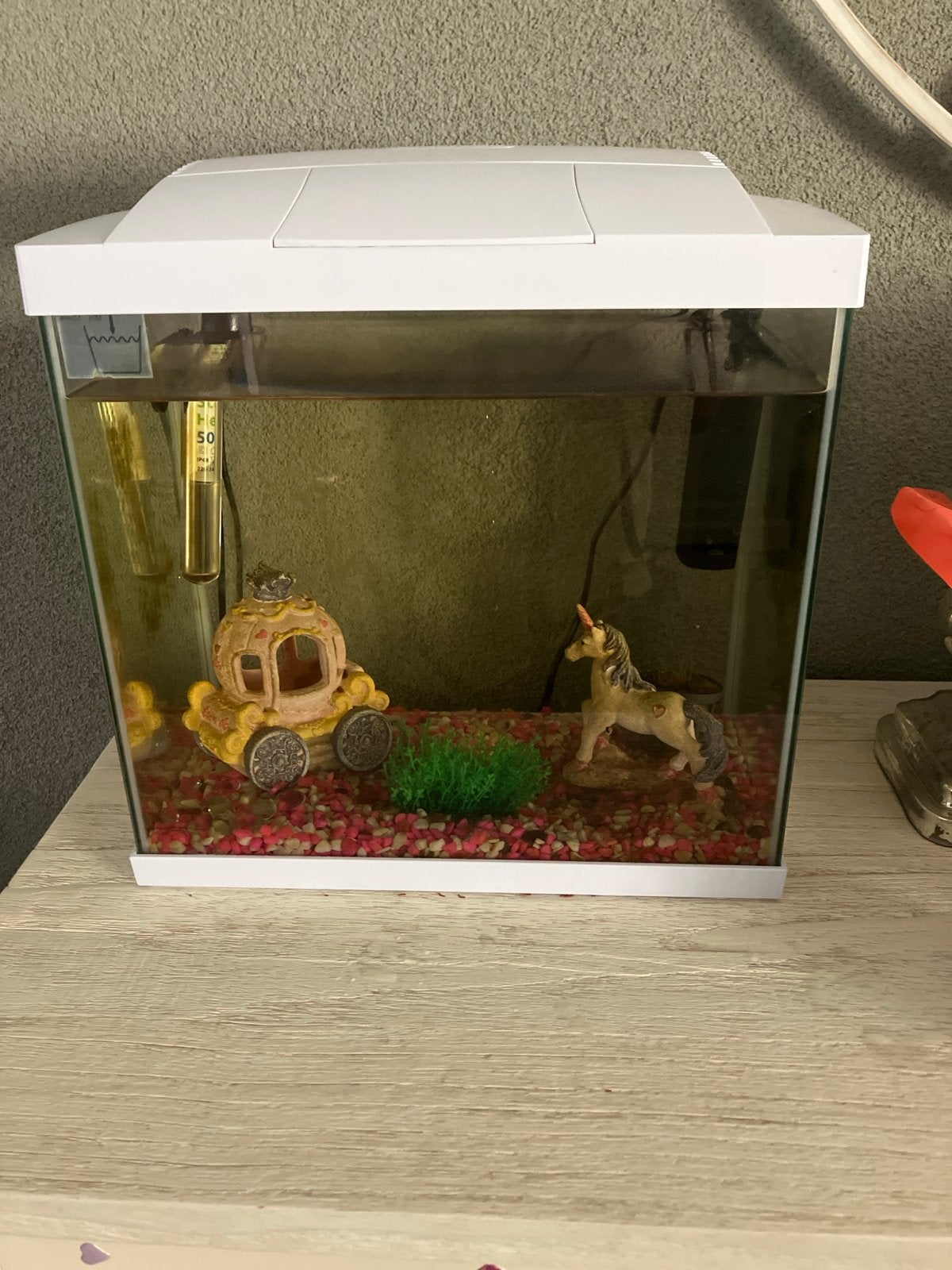 Aquarium met toebehoren, Ophalen, Zo goed als nieuw, Leeg aquarium