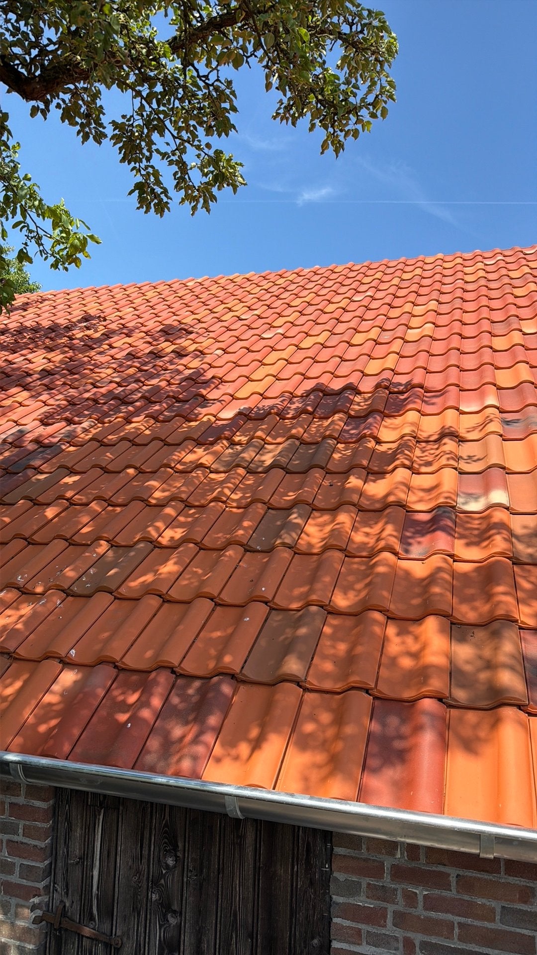 Dakpannen rood, Doe-het-zelf en Verbouw, Dakpannen en Dakbedekking, Ophalen, Steen of Klei, Zo goed als nieuw, 15 m² of meer
