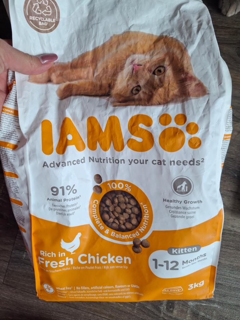 Iams kittenbrokken, Ophalen, Kat
