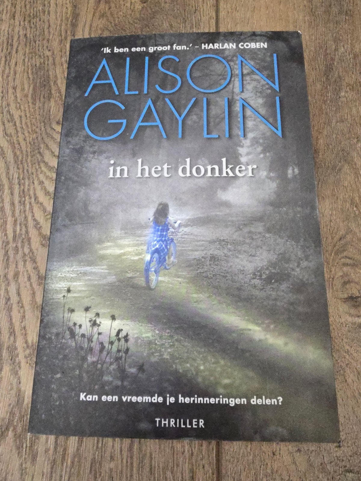 Te koop nieuw boek "In het donker", schrijver Alison Gaylin., Ophalen of Verzenden, Nieuw, Alison Gaylin