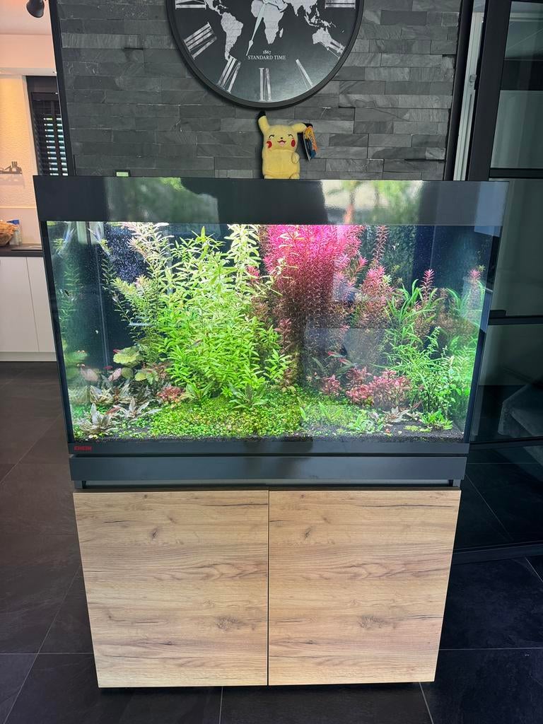Complete Eheim Incpiria 330 Aquarium met Planten en vissen., Dieren en Toebehoren, Ophalen, Inclusief vissen, Eheim, Gevuld zoetwateraquarium