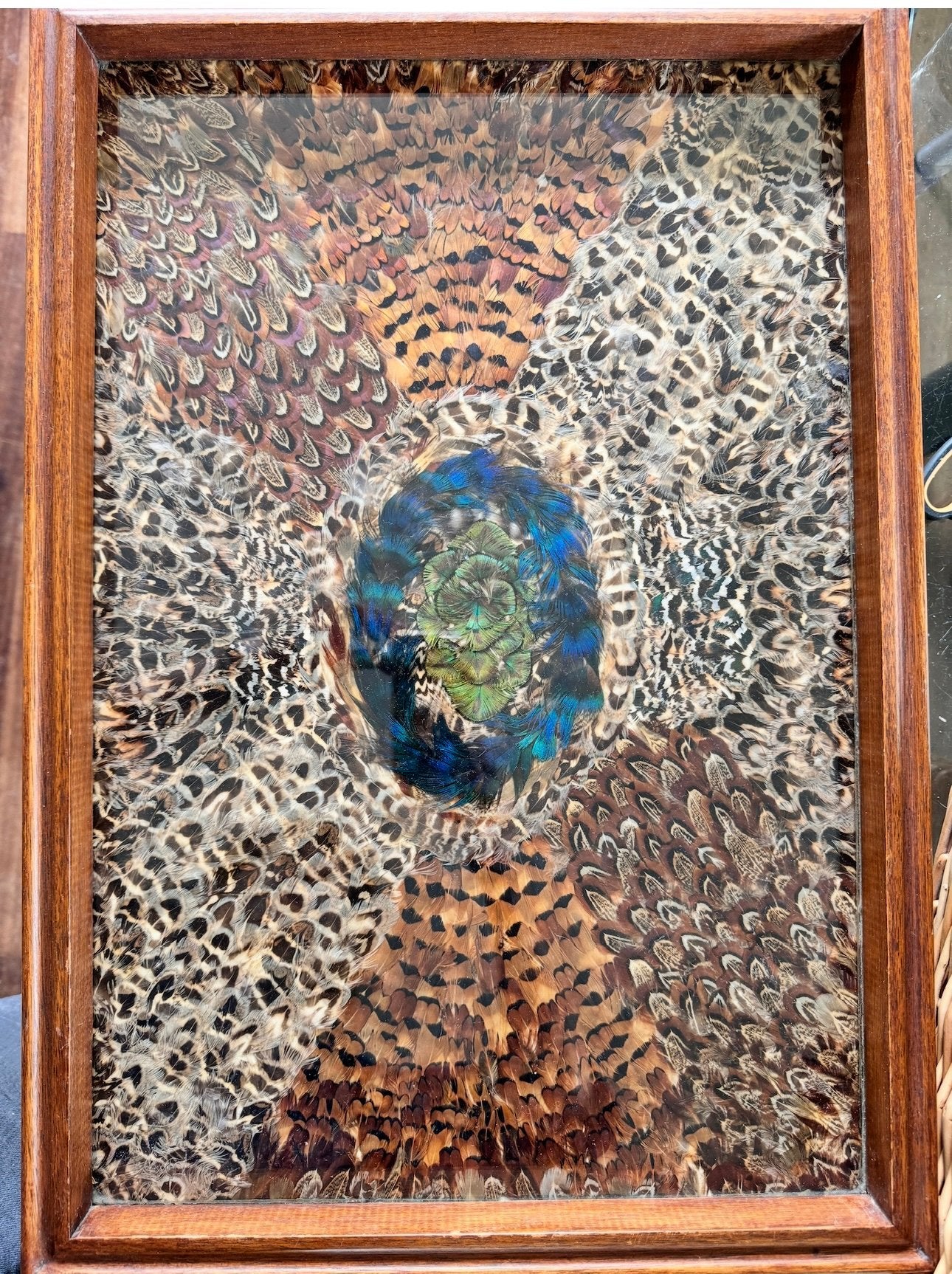 Bijzonder Featherwork Verenmozaïek in Houten Lijst 55 x 37cm, Ophalen of Verzenden, Hout