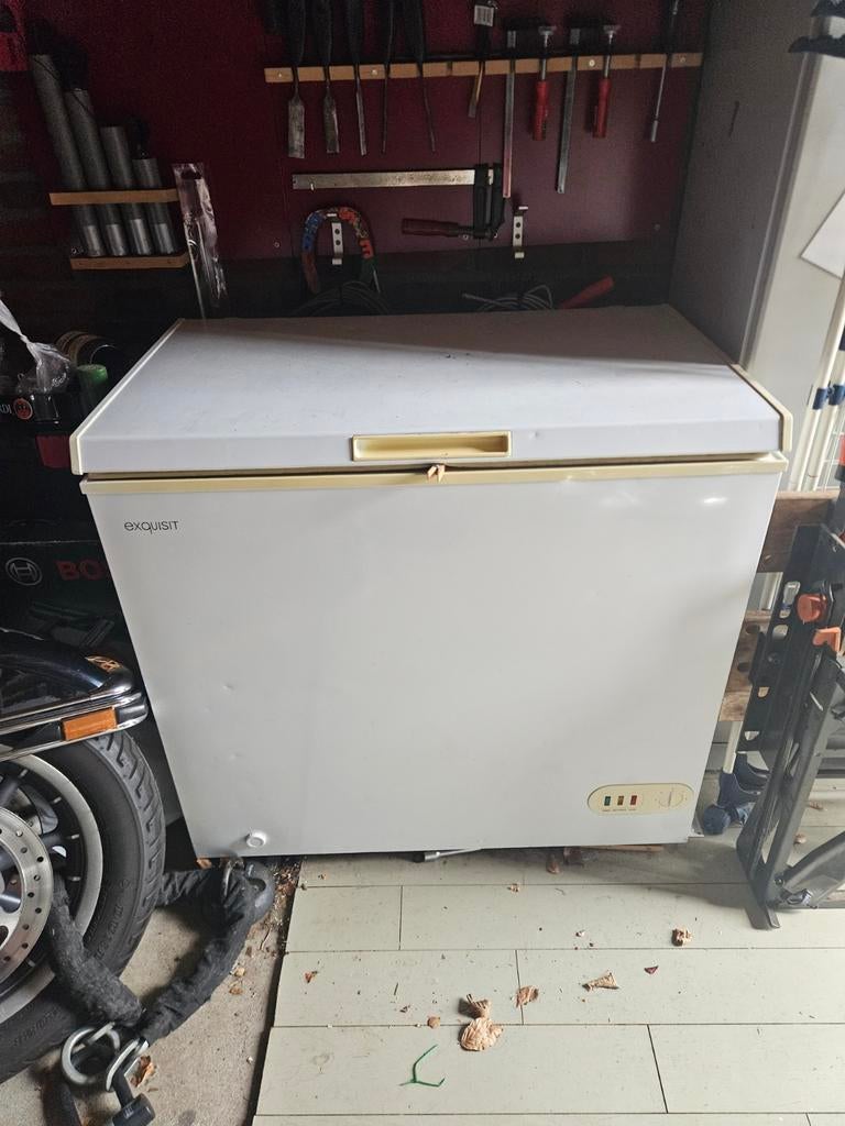 Exquisit vrieskist - Ruime opslag, Witgoed en Apparatuur, Vriezers en Diepvrieskisten, Vrieskist, Gebruikt, Minder dan 85 cm, Vrijstaand