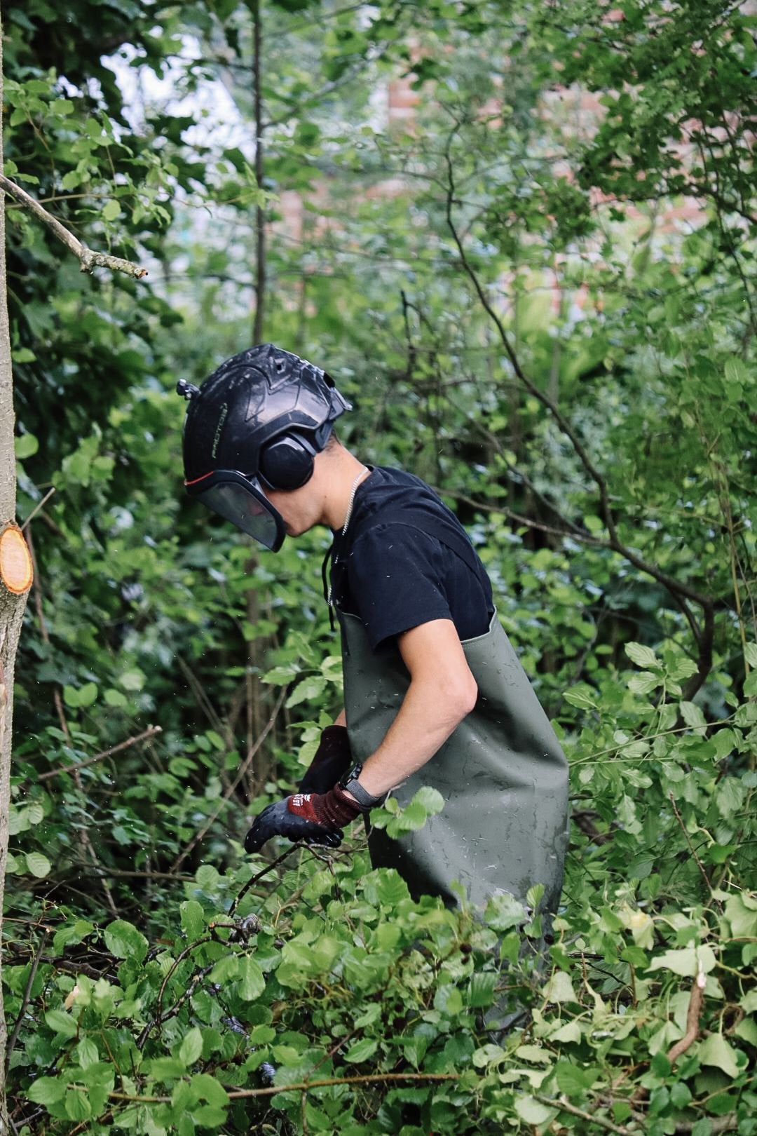 Foto 7 van Boom kappen, boom verwijderen & boomverzorging