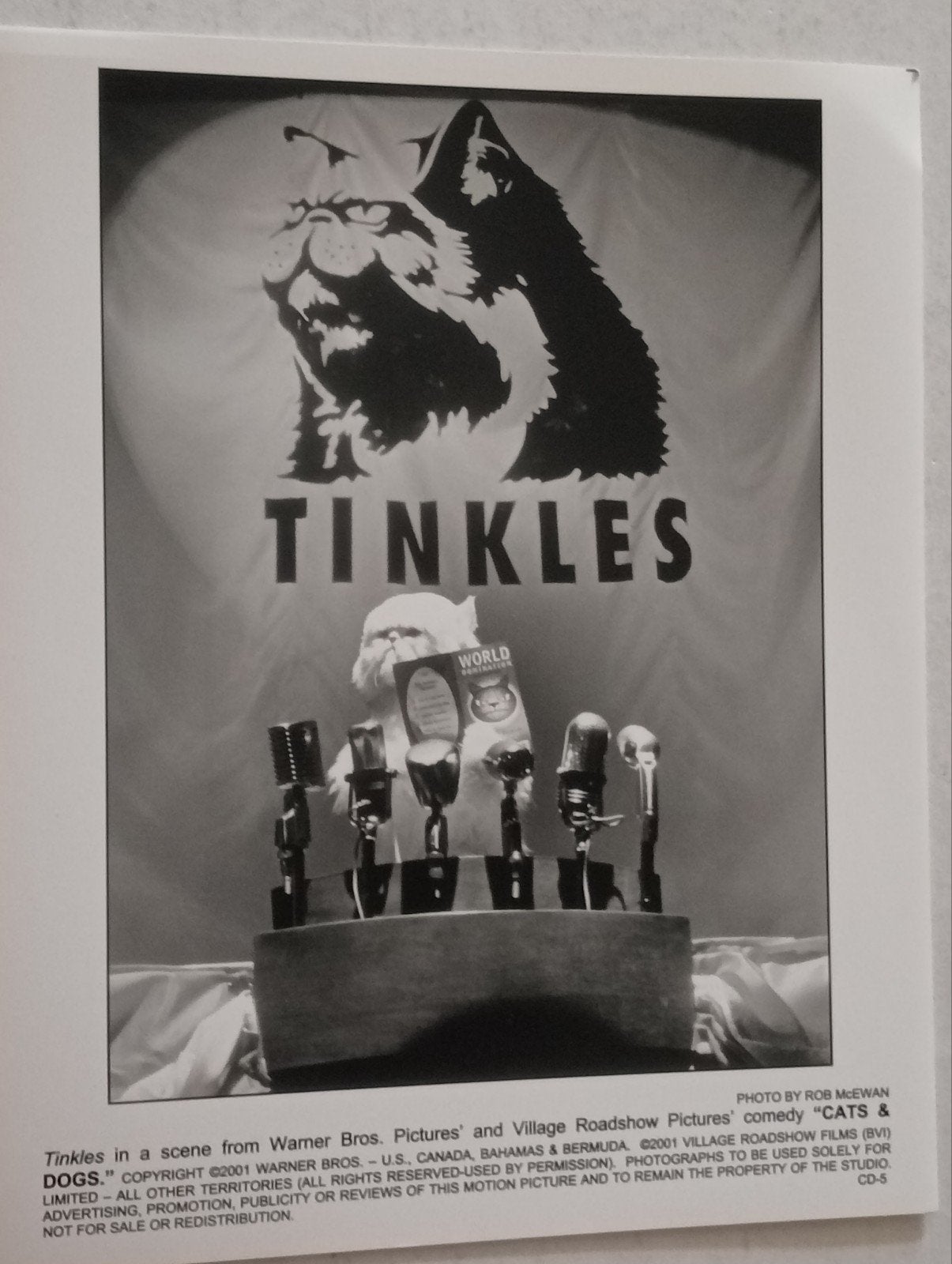 Tinkles Cats & Dogs Filmfoto, Verzamelen, Ophalen of Verzenden, 1980 tot heden, Gebruikt, Overige onderwerpen