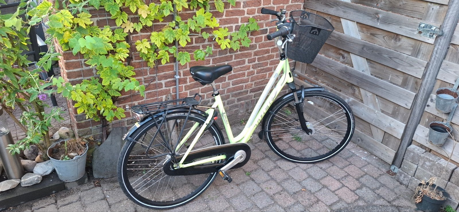Trek damesfiets met mandje en versnellingen, Fietsen en Brommers, Fietsen | Dames | Damesfietsen, Gebruikt, Velgrem, Versnellingen