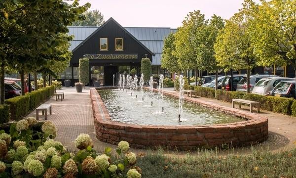 E-ticket voor Zwaluwhoeve ook VeluwseBron en Spa Well beschi, Tickets en Kaartjes