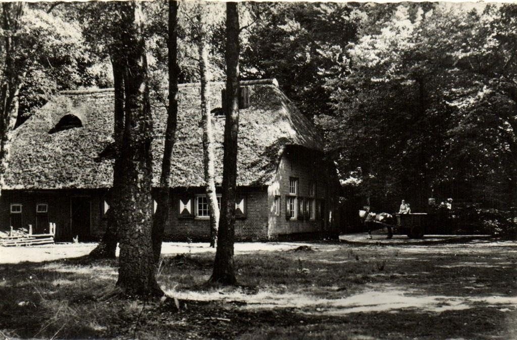 Aan de voet van Montferland - boerderij paard wagen - 1960 g, Ophalen of Verzenden, 1960 tot 1980, Gelopen, Gelderland
