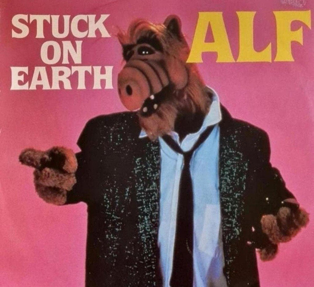 ALF - STUCK ON EARTH, Ophalen of Verzenden, Gebruikt