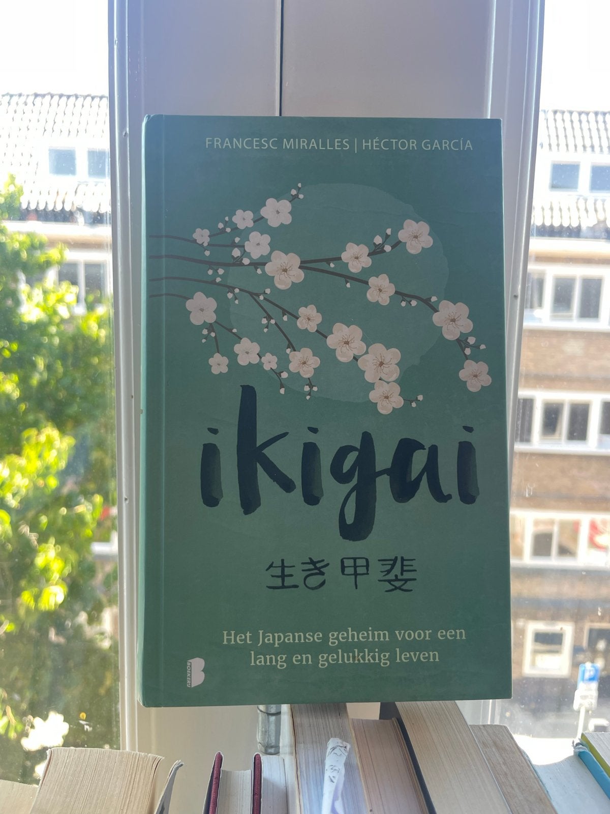 Ikigai: Het Japanse geheim voor een lang en gelukkig leven, Boeken, Ophalen, Zo goed als nieuw