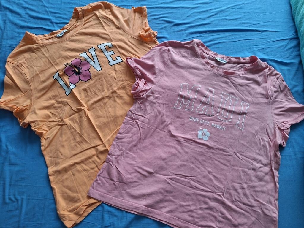 Twee T-shirts: Oranje en Roze, Kleding | Dames, Maat 42/44 (L), Ophalen of Verzenden, Korte mouw, Roze