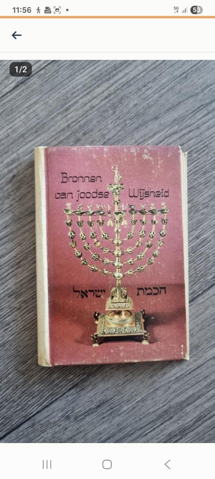 Bronnen van Joodse Wijsheid - Geïllustreerd boekje, Ophalen of Verzenden, Gelezen, Jodendom