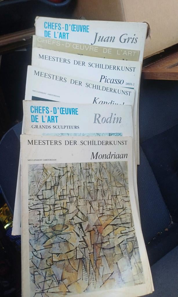 Kunstboeken: Mondriaan, Picasso, Rodin, Kandinsky, Juan Gris, Ophalen of Verzenden, Zo goed als nieuw, Schilder- en Tekenkunst