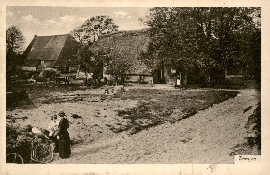 Zeegse Dorpsgezicht #598, Verzamelen, Ophalen of Verzenden, Voor 1920, Gelopen, Drenthe