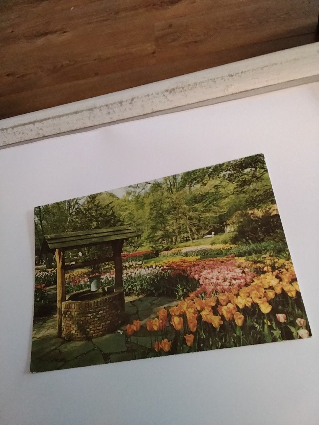 Vintage Ansichtkaart Keukenhof Lisse Holland - 1985, Ophalen of Verzenden
