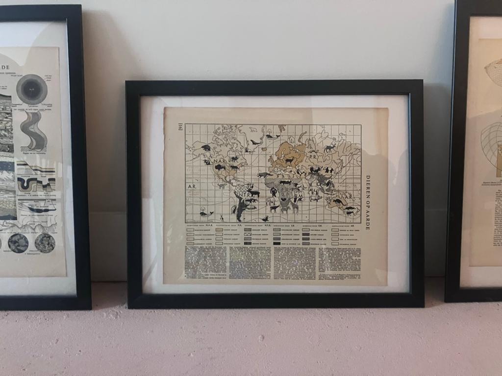 Vintage Aardrijkskunde Platen - Set van 3, Ophalen of Verzenden, Aardrijkskunde