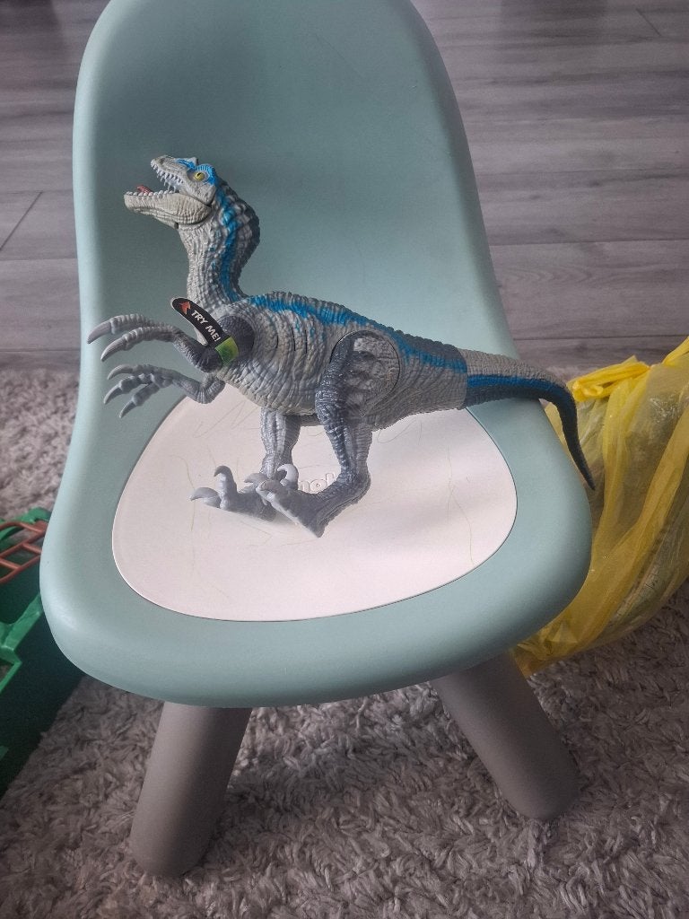 Dinosaur, Ophalen, Zo goed als nieuw, Jongen