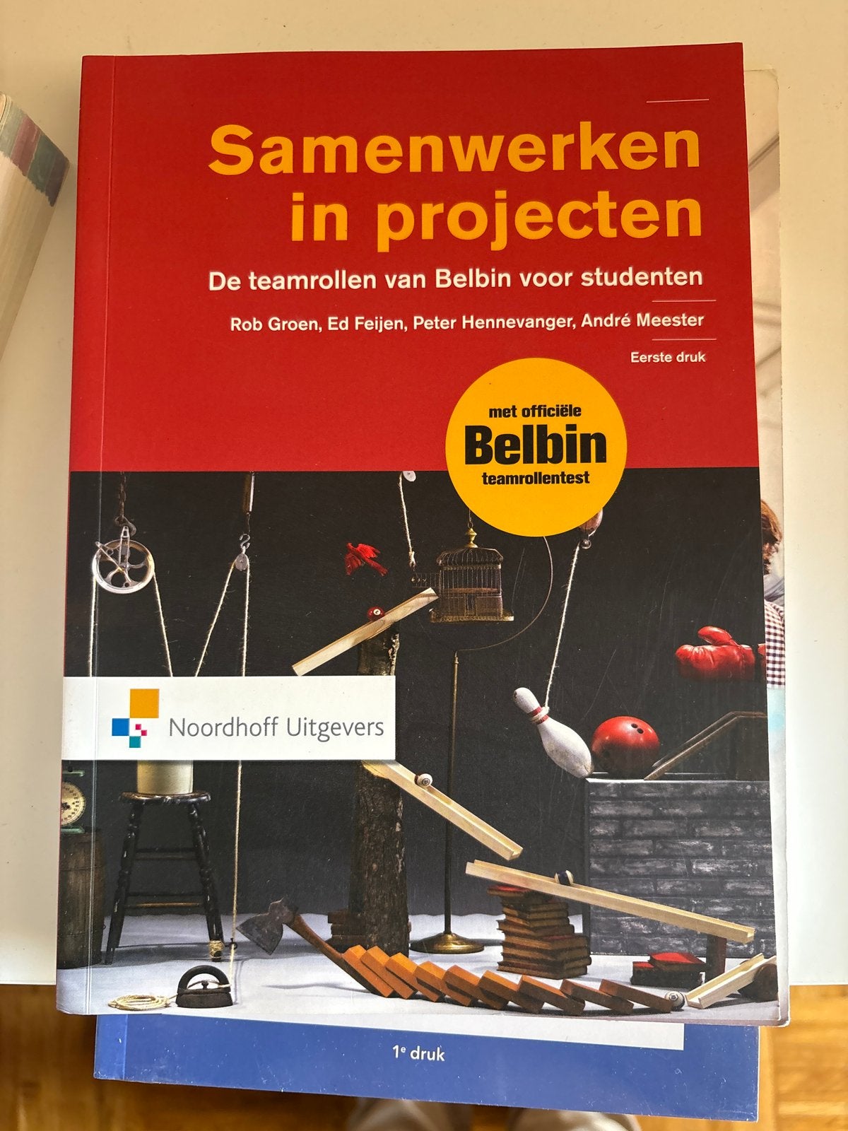 Samenwerken in projecten: De teamrollen van Belbin, Ophalen of Verzenden, Zo goed als nieuw, LBO