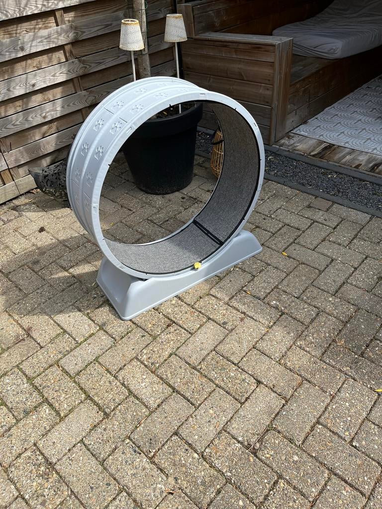 Draairad voor u kittens, Ophalen of Verzenden, Nieuw