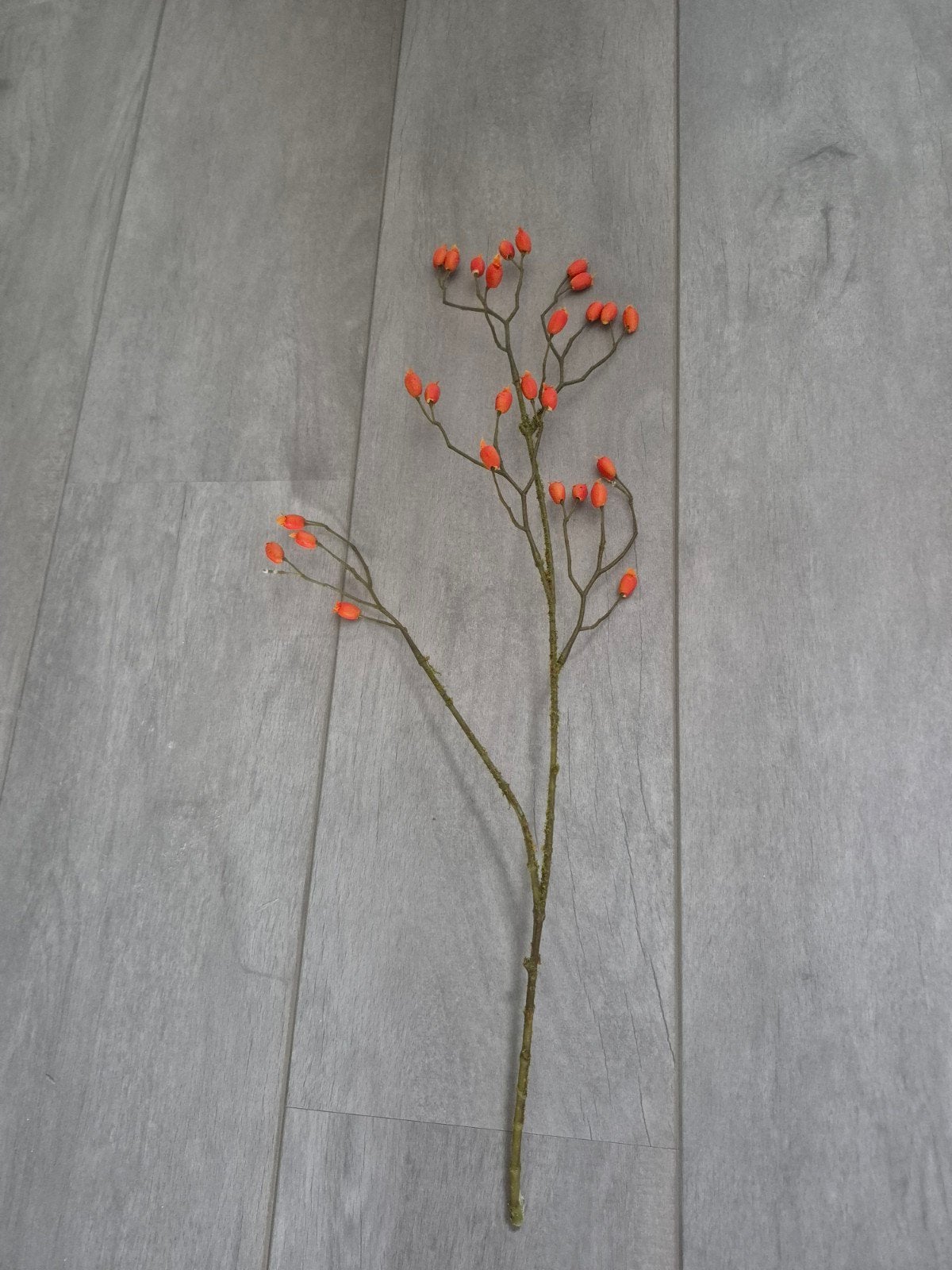 Silk-ka Oranje Rozenbottel Tak - Kunsttak, Binnen, Silk-ka, Nieuw, Textiel