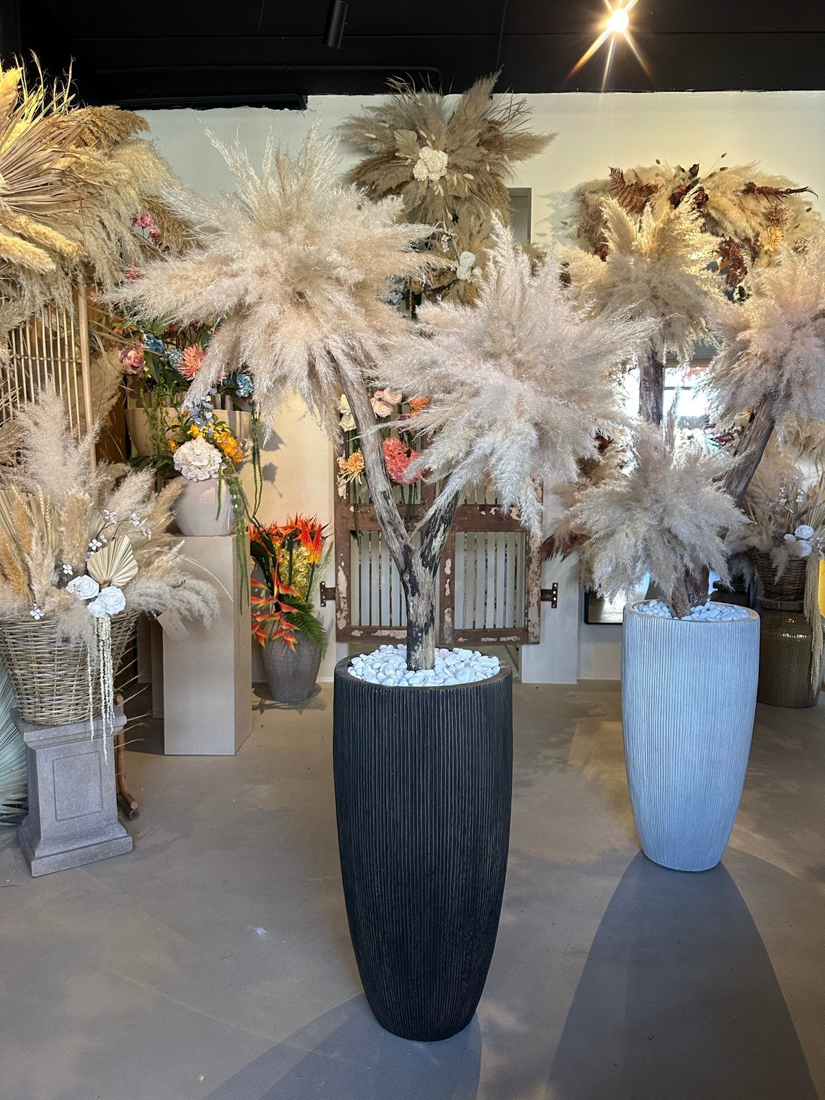 Handgemaakte Pampasboom van gedroogde pluimen, Ophalen, Binnen, Natuurlijk materiaal, Beige