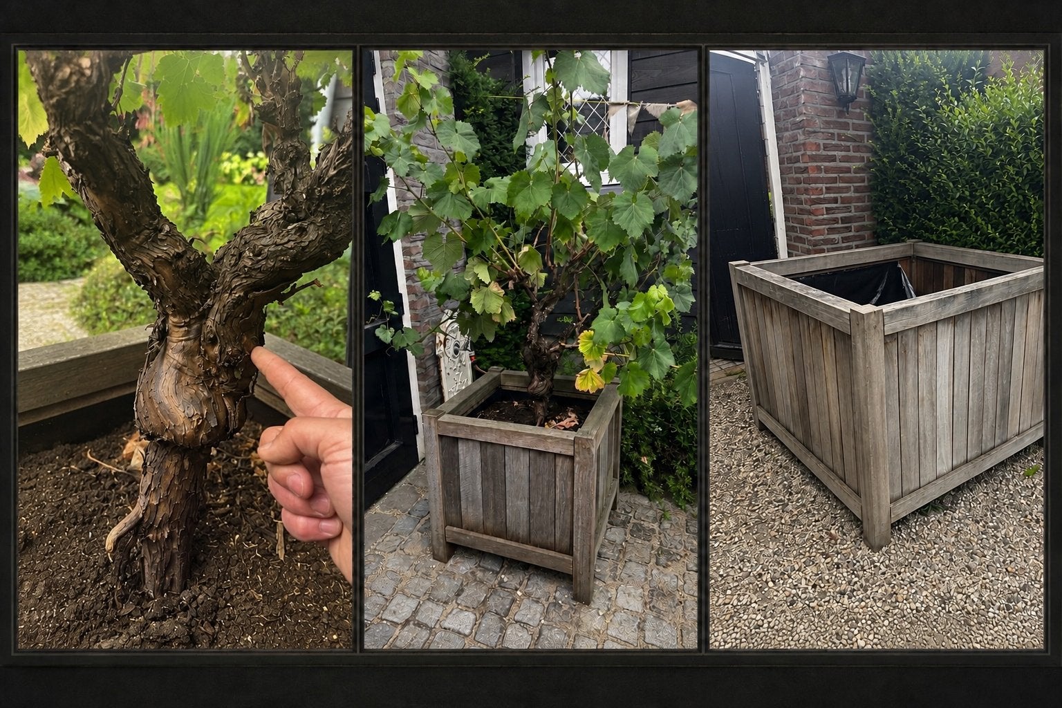 3x grote hardhouten Valencia boombak + GRATIS druif wit&blau, Ophalen, Gebruikt, Vierkant, Balkon