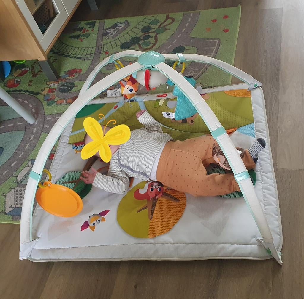 Tiny Love Baby Gym - Into the Forest compleet, Ophalen of Verzenden, Zo goed als nieuw