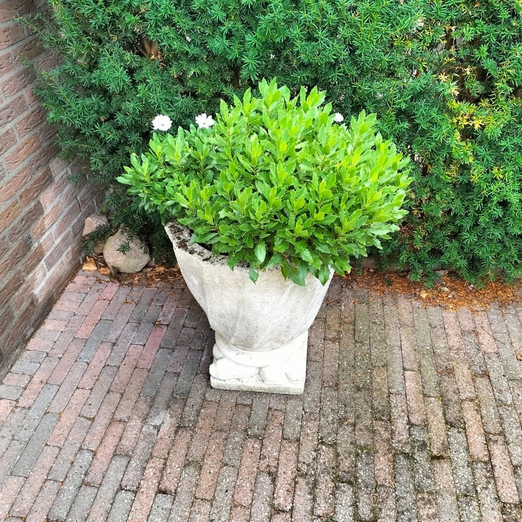 Klassieke stenen bloempot / tuinvaas op bijpassende sokkel, Ophalen, Steen, Gebruikt, Rond