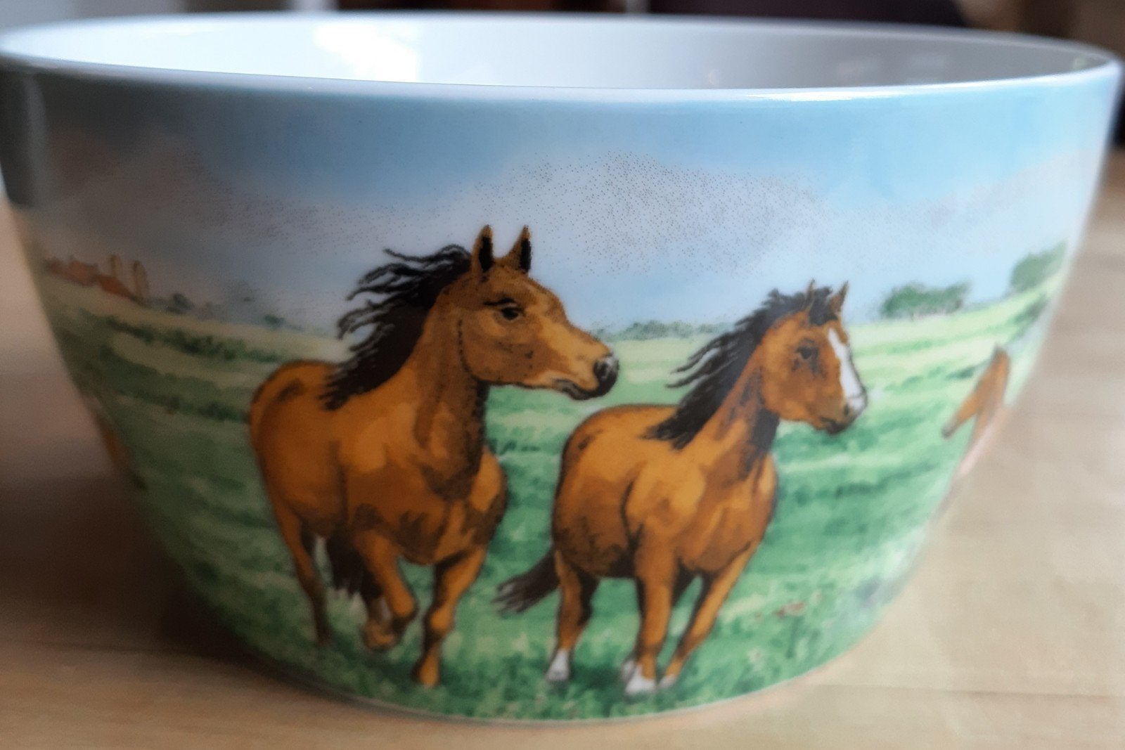 Kom paarden van Wiebe v d Zee nieuw., Overige materialen, Nieuw, Ophalen of Verzenden, Kom(men)