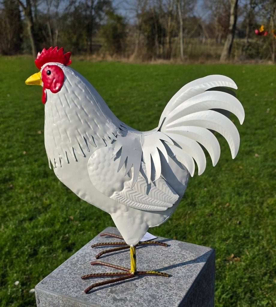 Haan /Hen / metaal / kippen / NIEUW, Tuin en Terras, Dierenbeeld, Nieuw, Metaal, Info@huisentuindecoratiemarie.nl