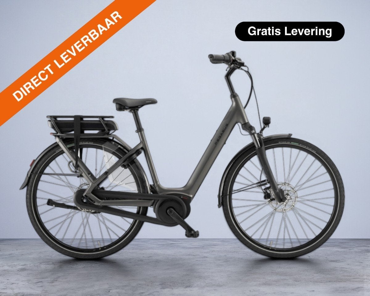 Pegasus Siena E7F, 500 Wh Dames Adviesprijs: € 2399