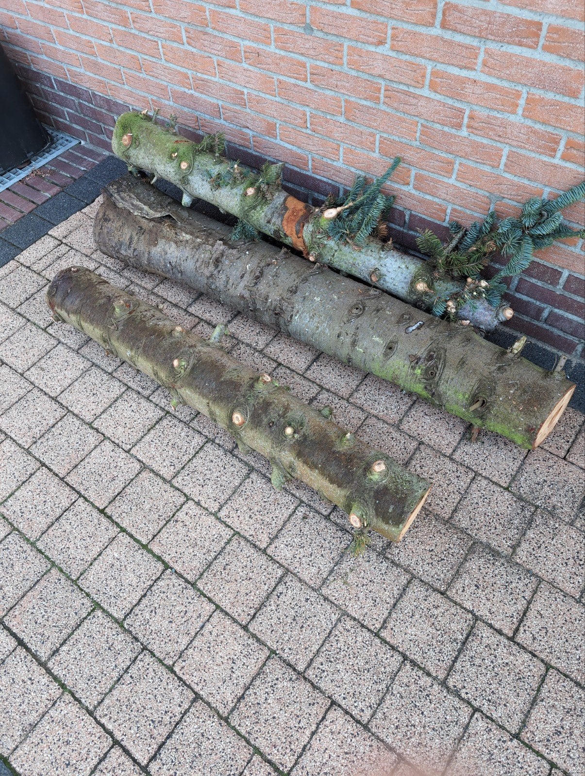 gratis afhalen stam 3,5 meter, Minder dan 3 m³, Ophalen