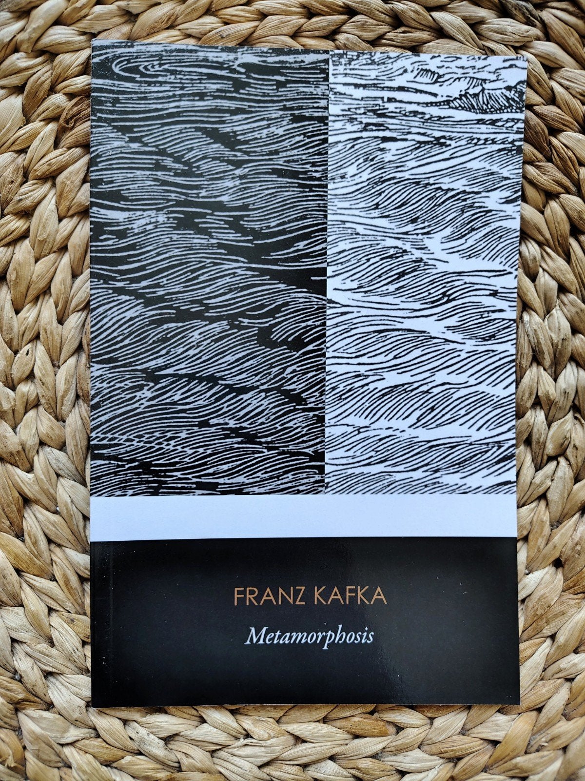 Franz Kafka - Metamorphosis, Ophalen of Verzenden, Zo goed als nieuw