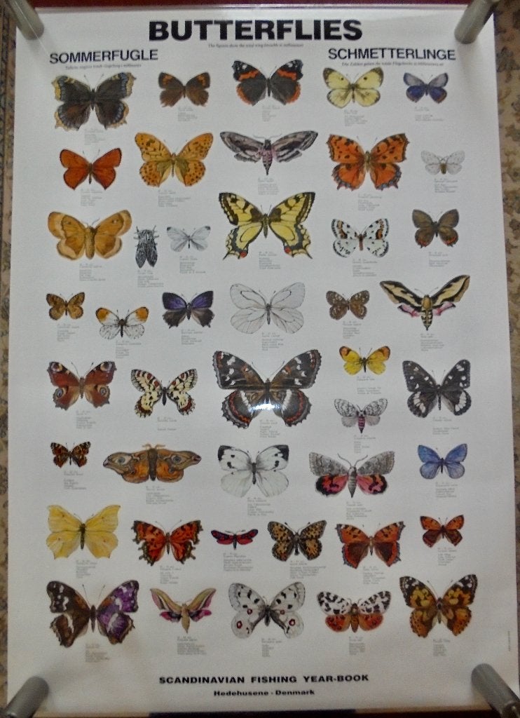 Butterflies (Vlinders) Poster Scandinavian Year Book Nieuw., Ophalen of Verzenden, Natuur en Biologie