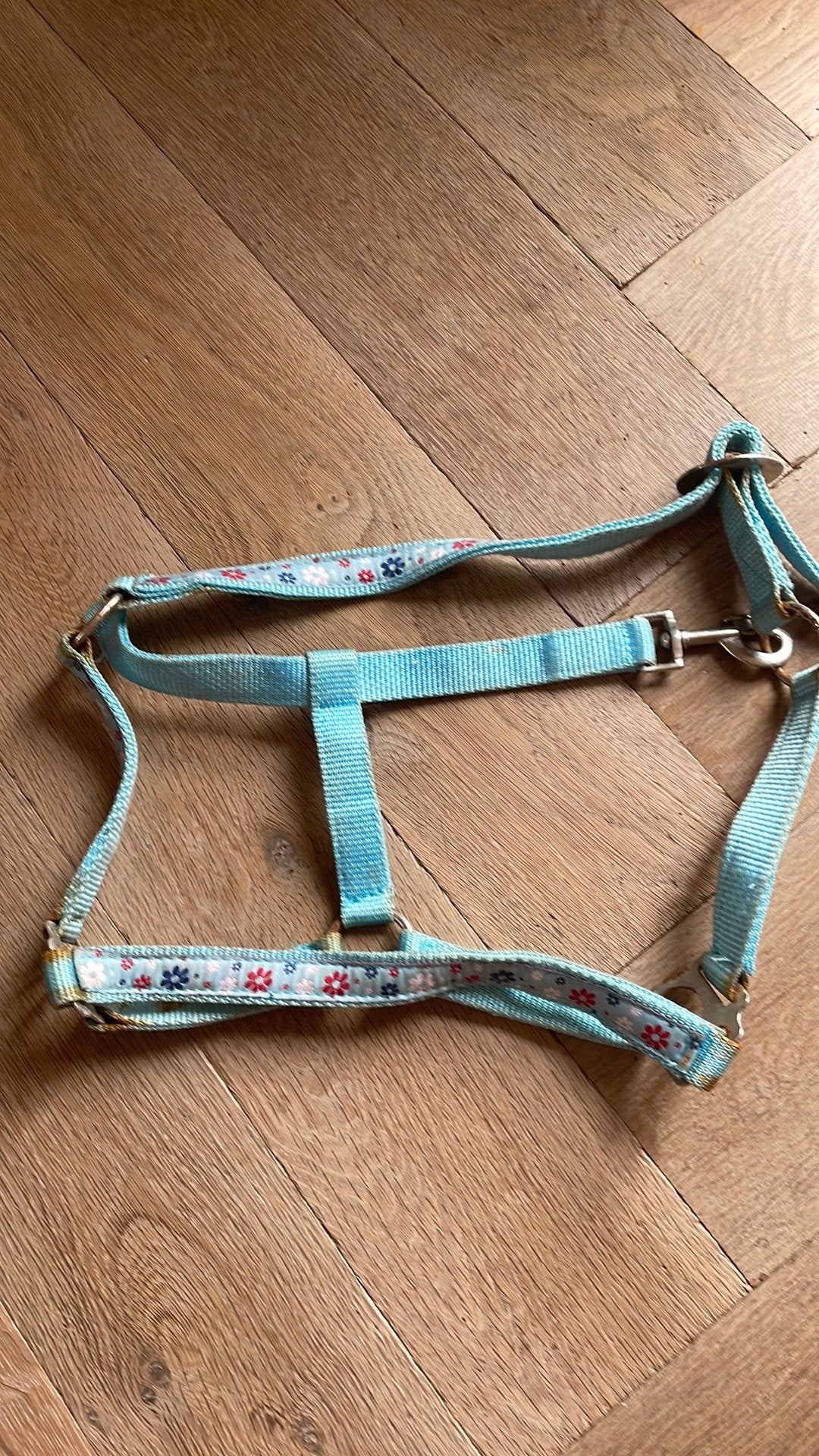 Halster blauw, Ophalen