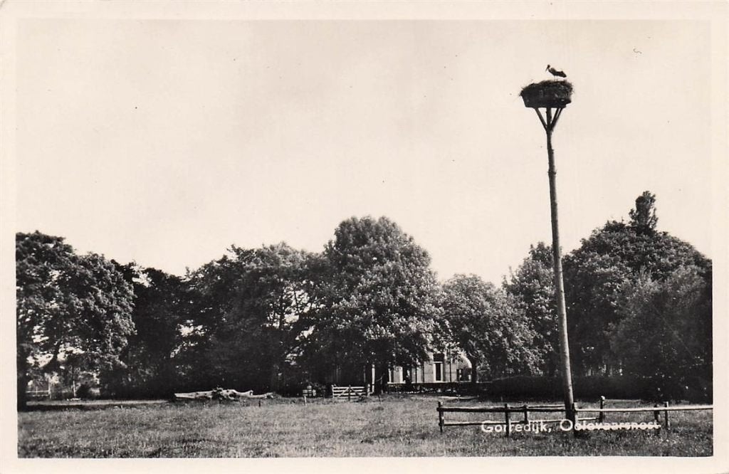703-034-025 Gorredijk Ooievaarsnest, Verzenden, Voor 1920, Friesland