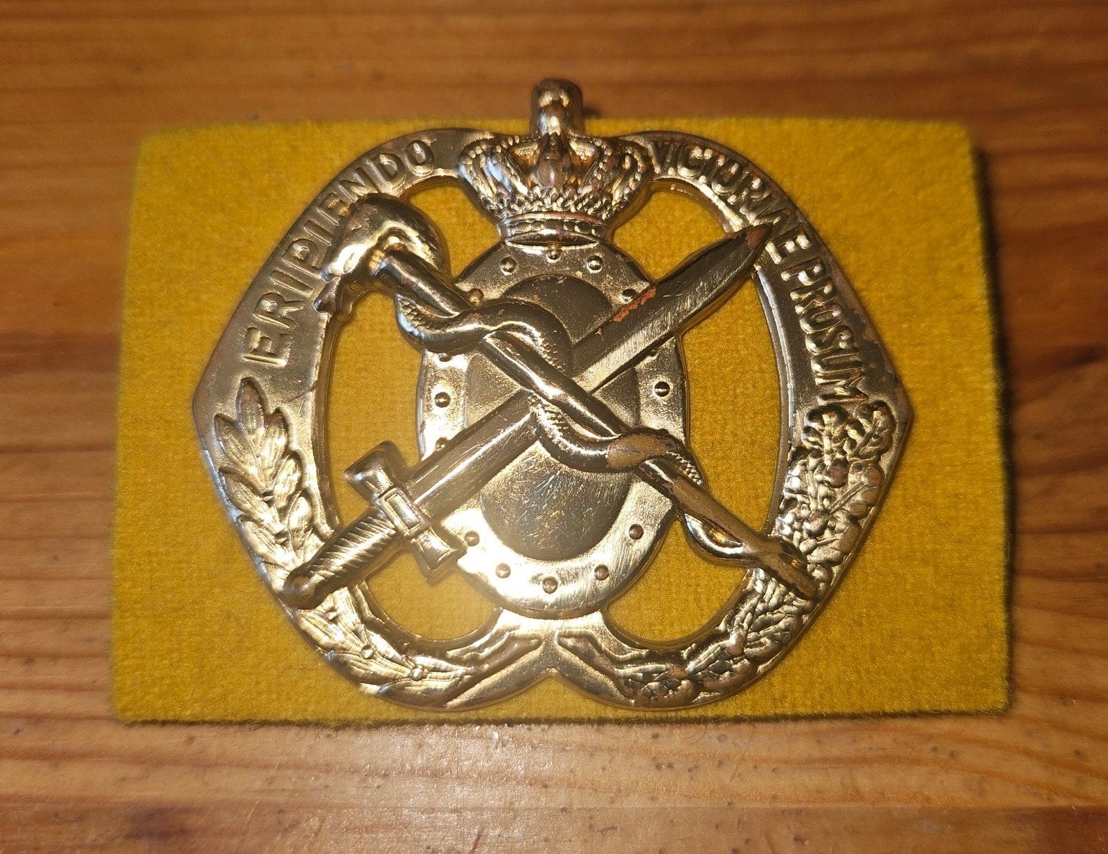 Baretembleem Geneeskundige Dienst, Ophalen of Verzenden, Landmacht, Nederland, Embleem of Badge
