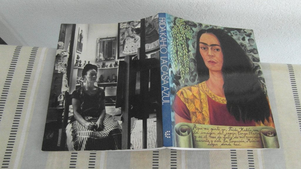 FRIDA KAHLO ; schitterend dik boek, goedkoop, Ophalen of Verzenden, Zo goed als nieuw, Schilder- en Tekenkunst