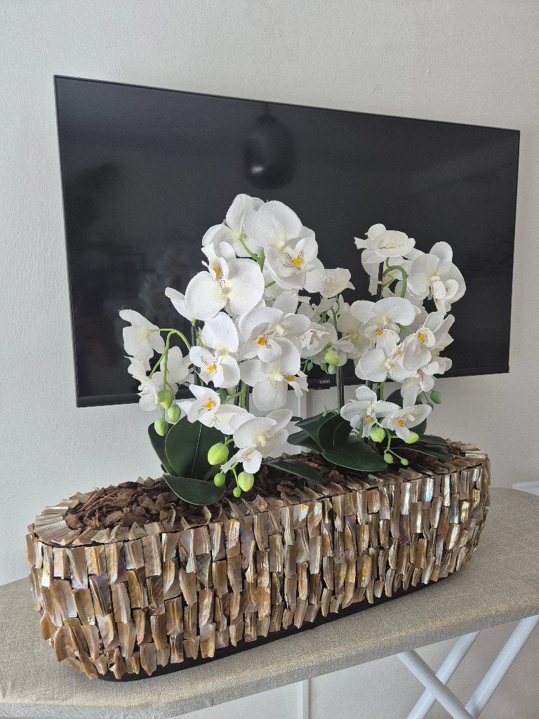 Schelpenvaas met orchideeën, Huis en Inrichting, Ophalen, Overige kleuren, Minder dan 50 cm, Glas