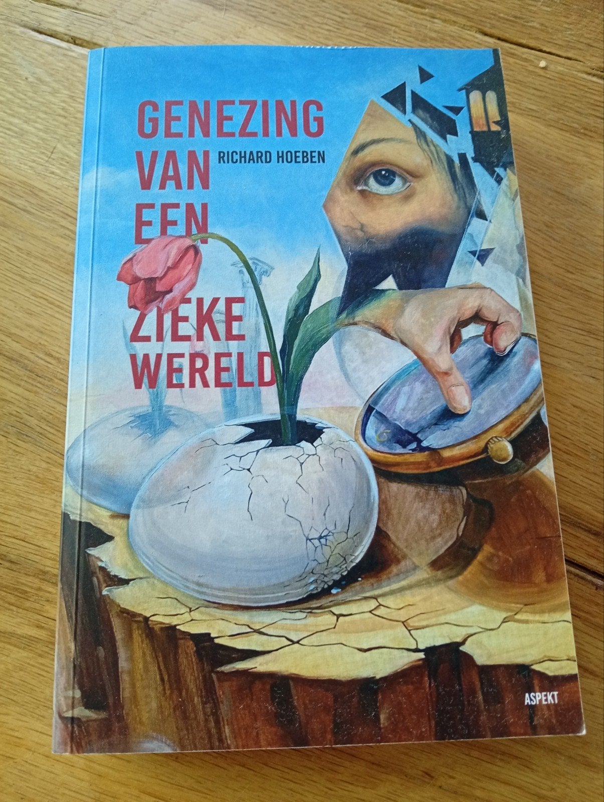 Genezing van een Zieke Wereld - Richard Hoeben, Ophalen of Verzenden