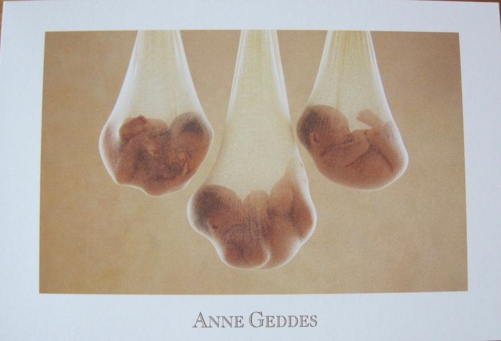 Anne Geddes - AGC049 - babies in zakjes - 2003 - nieuw, Verzenden, 1980 tot heden, Ongelopen, Overige thema's