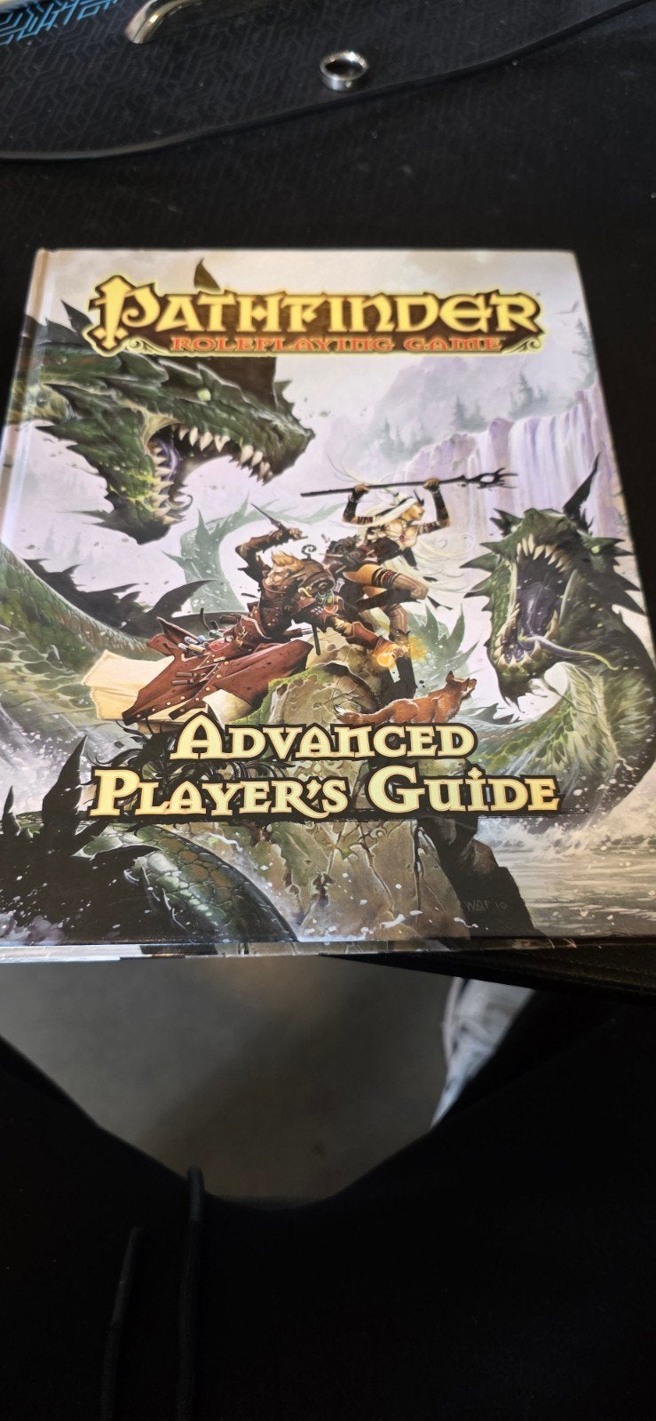 Pathfinder Roleplaying Game: Advanced Player's Guide, Ophalen of Verzenden